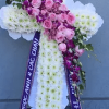 Cross-Shaped Arrangements