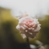 Uncategorized